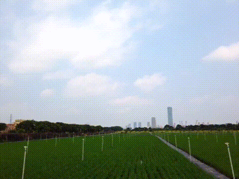 微信圖片_20210625101008.gif 微信圖片_20210625101008.gif