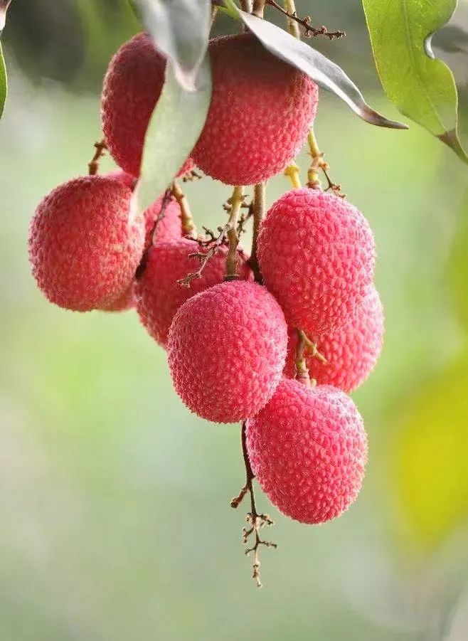 微信圖片_20210625144219.jpg 微信圖片_20210625144219.jpg