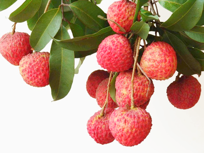 微信圖片_20210625144412.png 微信圖片_20210625144412.png