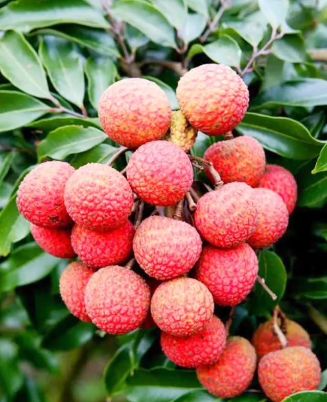 微信圖片_20210625145642.jpg 微信圖片_20210625145642.jpg