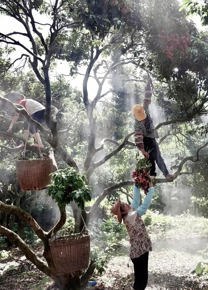 微信圖片_20210628100004.jpg 微信圖片_20210628100004.jpg