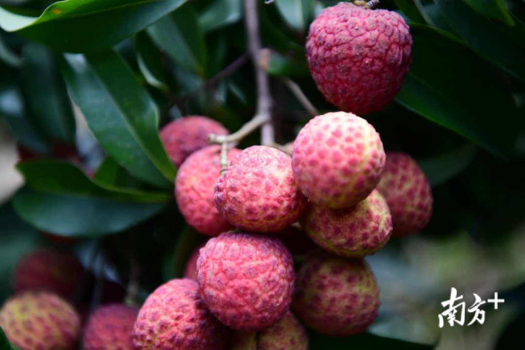 微信圖片_20210628100046.png 微信圖片_20210628100046.png