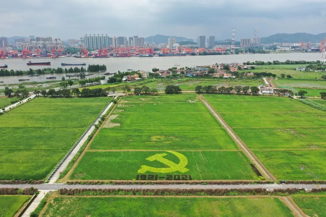 微信圖片_20210702094120.jpg 微信圖片_20210702094120.jpg