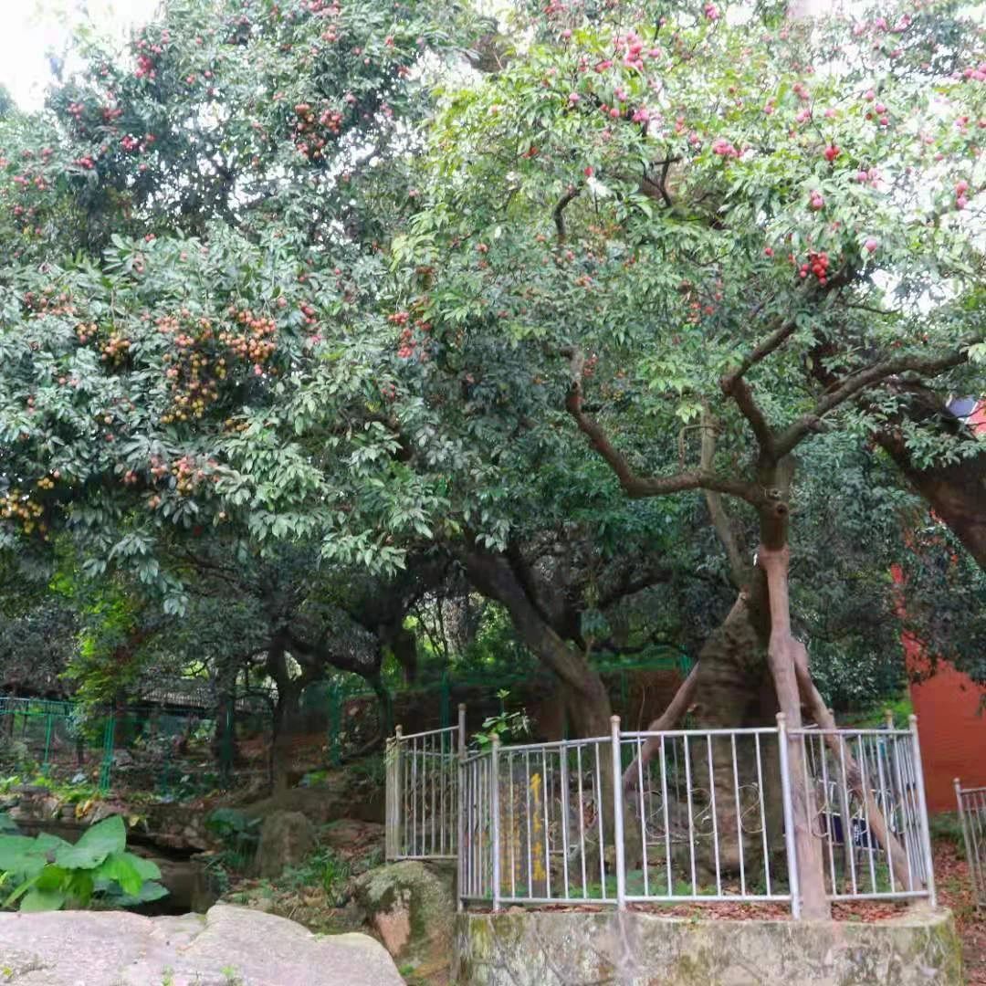 微信圖片_20210712151907.jpg 微信圖片_20210712151907.jpg