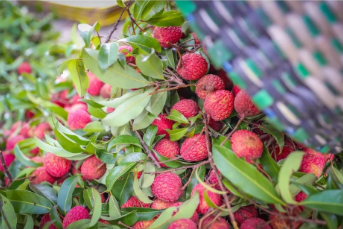 微信圖片_20210712151912.png 微信圖片_20210712151912.png