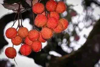 微信圖片_20210712151915.jpg 微信圖片_20210712151915.jpg