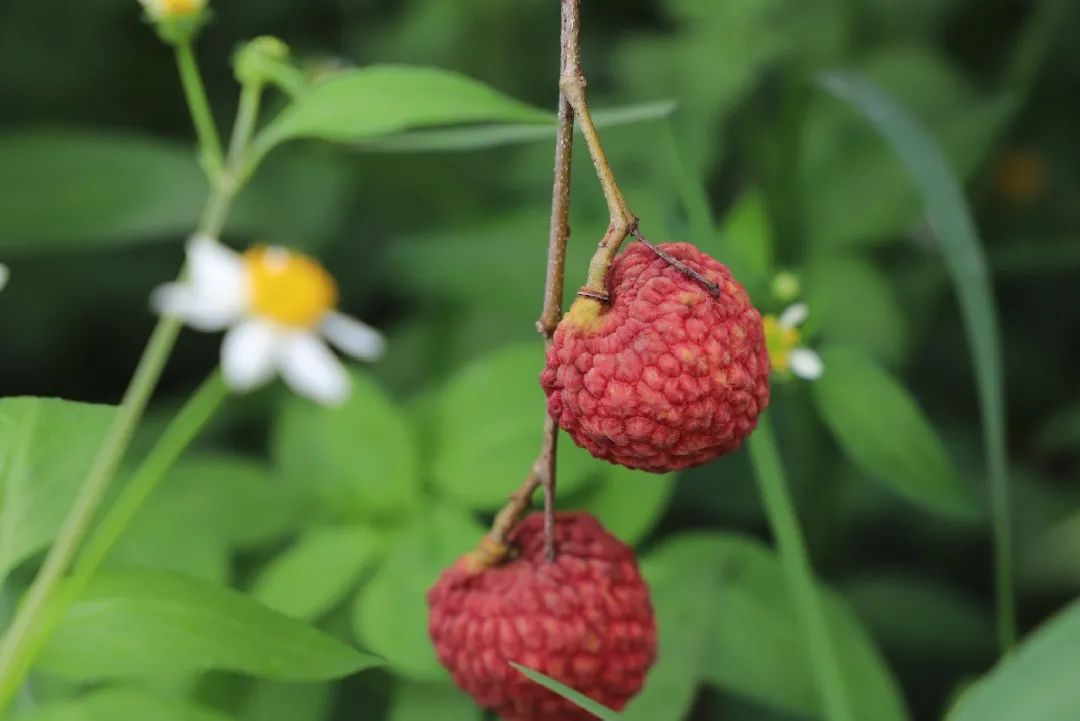 微信圖片_20210712151923.jpg 微信圖片_20210712151923.jpg