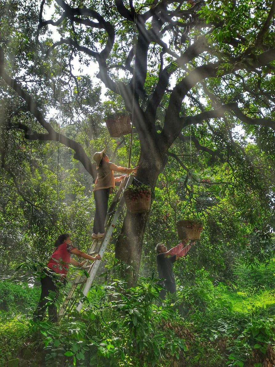 微信圖片_20210712151927.jpg 微信圖片_20210712151927.jpg