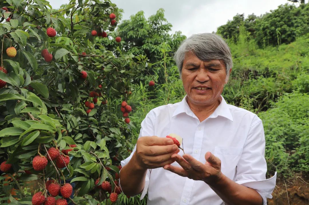 微信圖片_20210712151931.jpg 微信圖片_20210712151931.jpg