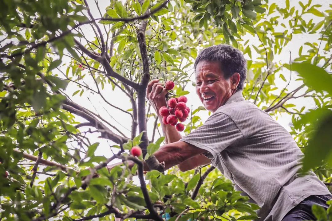 微信圖片_20210712151952.jpg 微信圖片_20210712151952.jpg